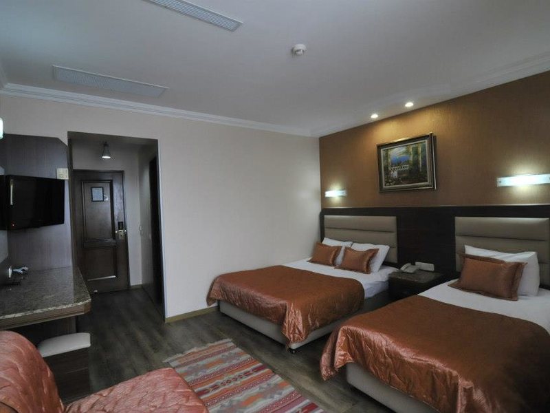 Hotel Ephesus  90726