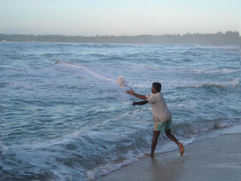 Hotel Eva Lanka 107774