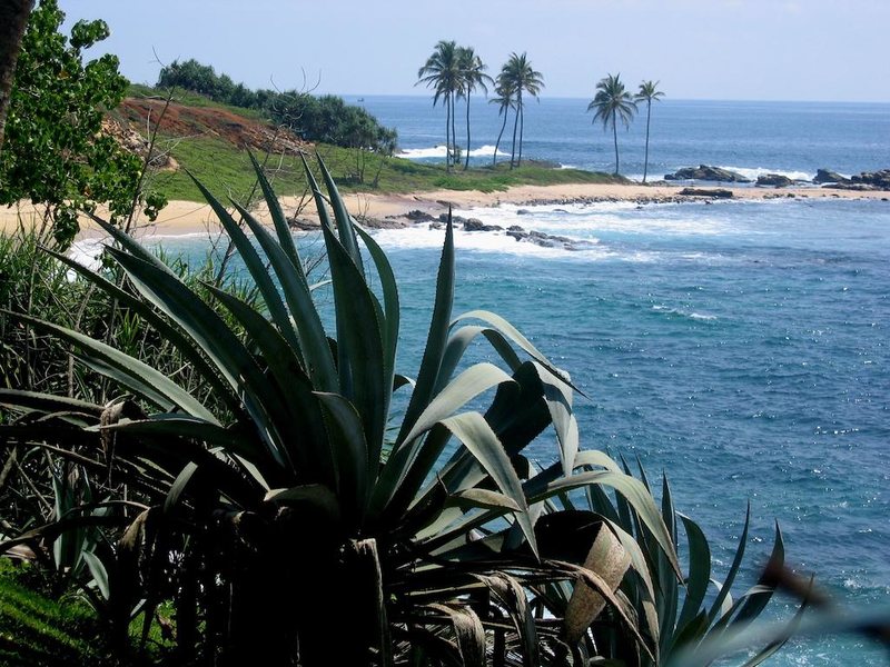 Hotel Eva Lanka 107775