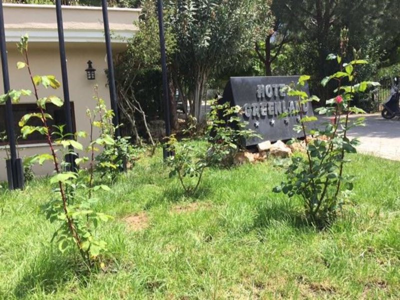 Hotel Greenland 183578