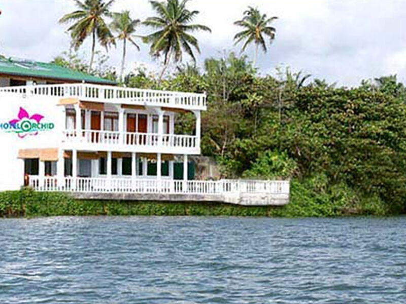 Hotel Orchid 106207
