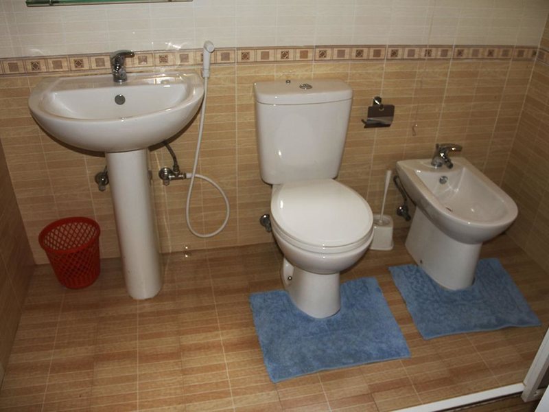 Hotel Red Rose 195966