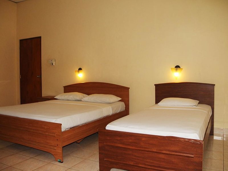 Hotel Red Rose 195968