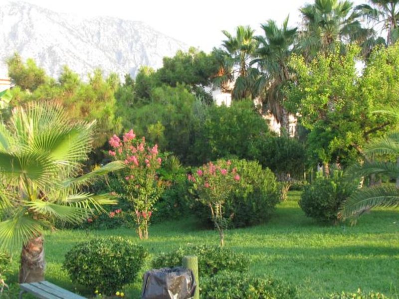 Hotel Sumela Garden  91513