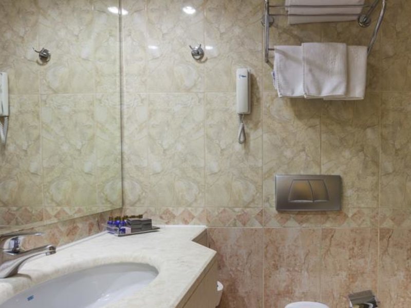 Hotel Terrace Beach Resort 91567