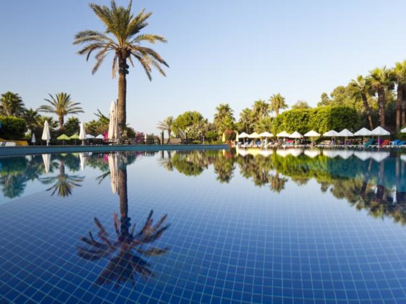 Hotel Terrace Beach Resort 91592