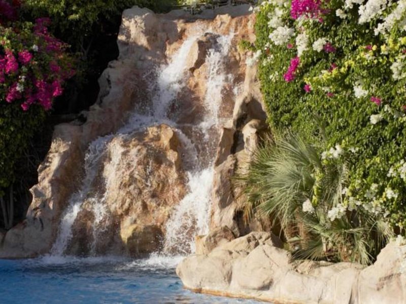 Hyatt Regency 124863