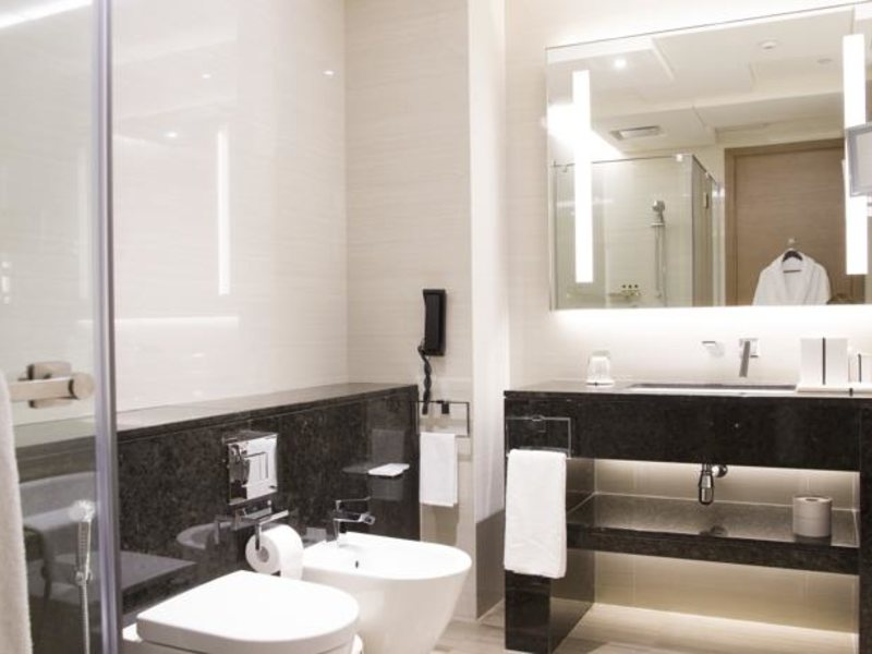 Hyatt Regency Dubai Creek Heights 117757