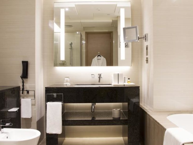 Hyatt Regency Dubai Creek Heights 117758