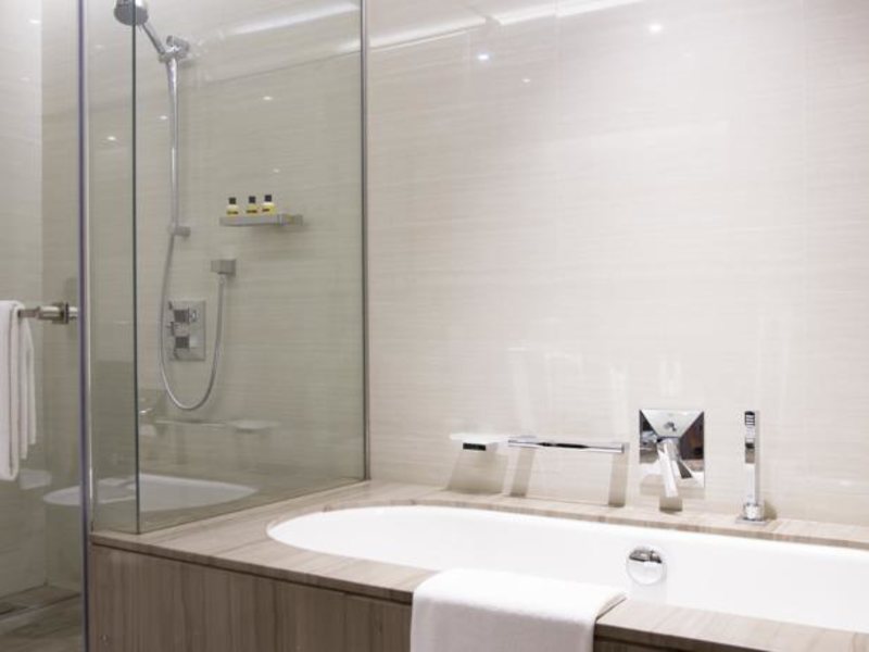 Hyatt Regency Dubai Creek Heights 117759