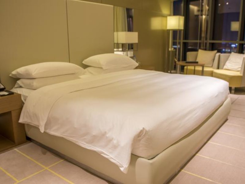 Hyatt Regency Dubai Creek Heights 117763