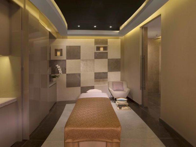 Hyatt Regency Dubai Creek Heights 117773