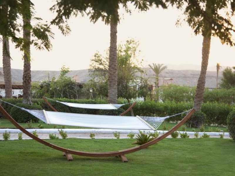 Iberotel Palace 55794