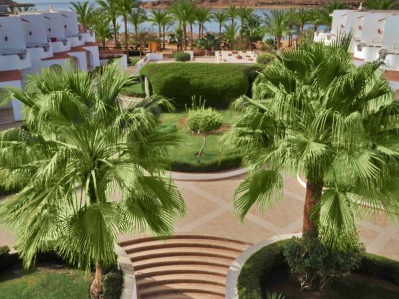 Iberotel Palace 55802