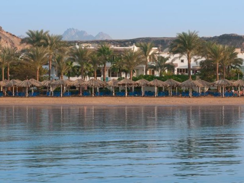 Iberotel Palace 55804