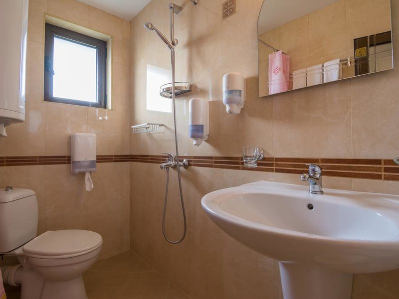 Ikonomov Spa Hotel 311061