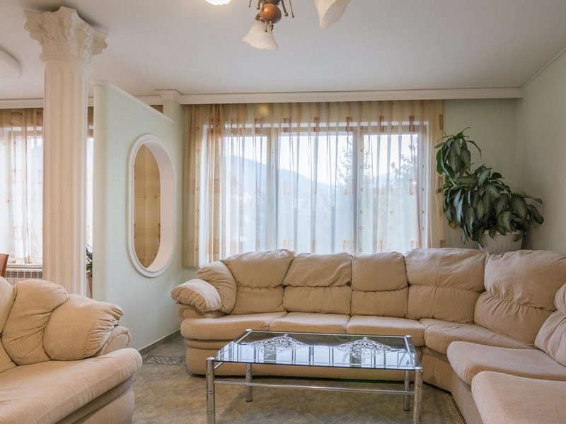 Ikonomov Spa Hotel 311064