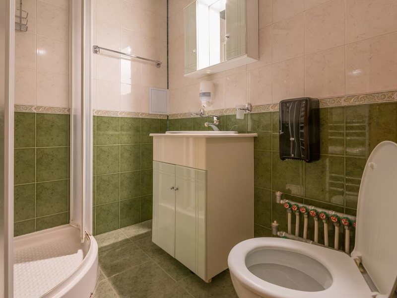 Ikonomov Spa Hotel 311065