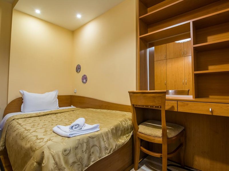 Ikonomov Spa Hotel 311066