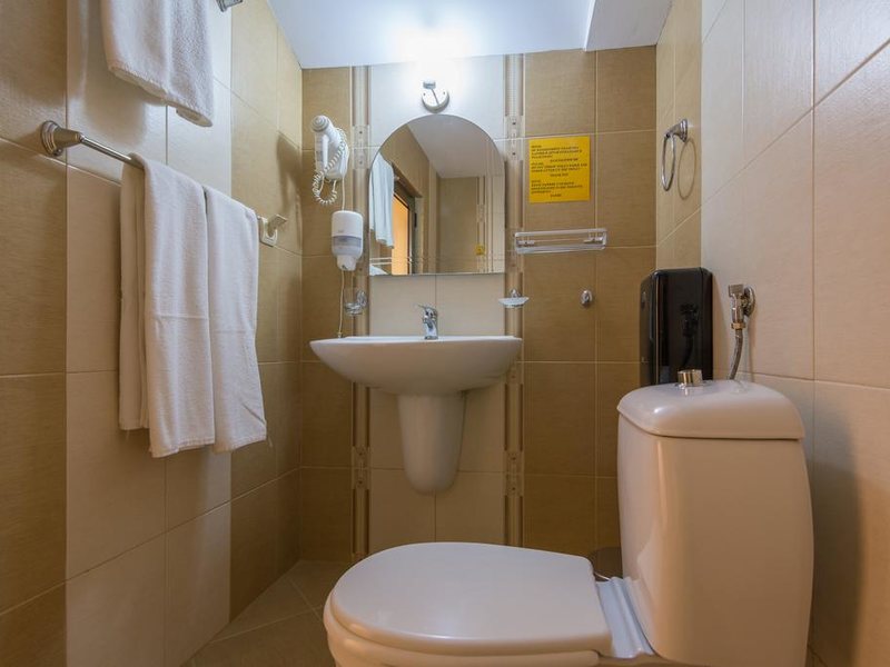 Ikonomov Spa Hotel 311069