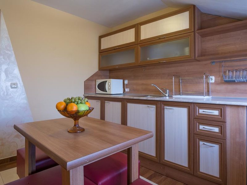 Ikonomov Spa Hotel 311070