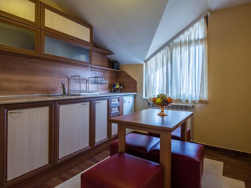 Ikonomov Spa Hotel 311071