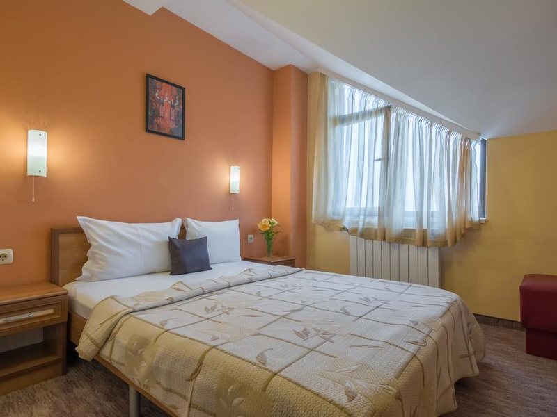 Ikonomov Spa Hotel 311072