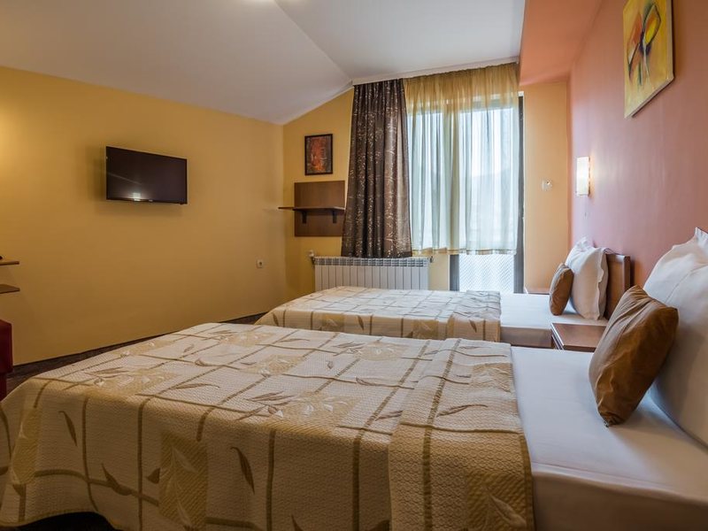 Ikonomov Spa Hotel 311073