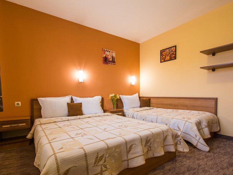 Ikonomov Spa Hotel 311074