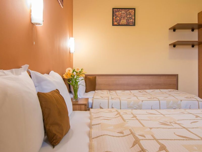 Ikonomov Spa Hotel 311075