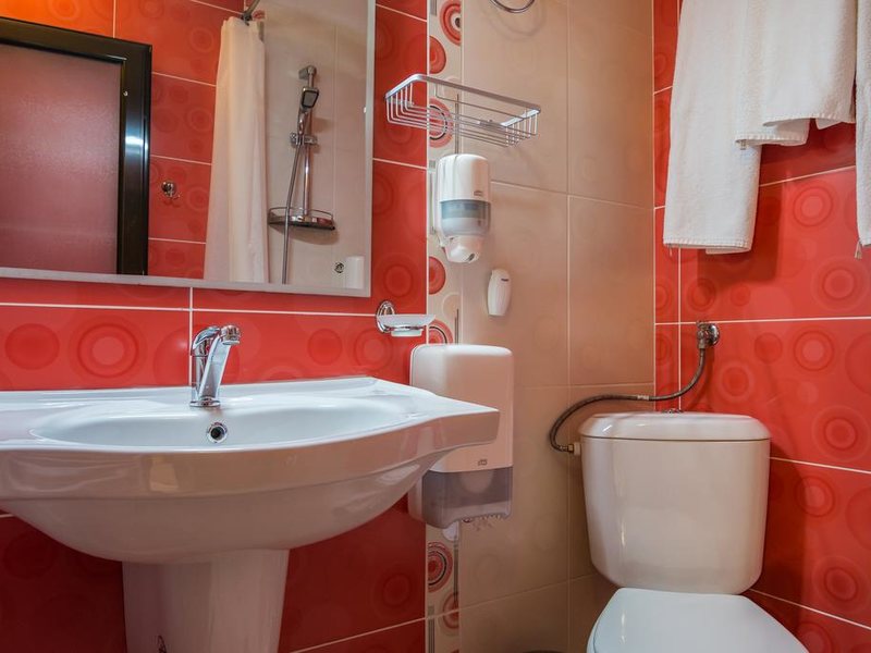 Ikonomov Spa Hotel 311076