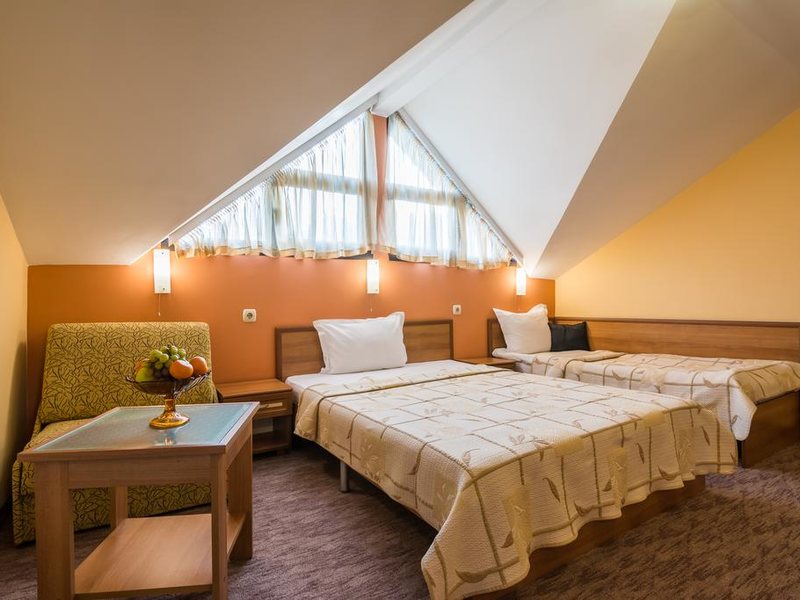 Ikonomov Spa Hotel 311077
