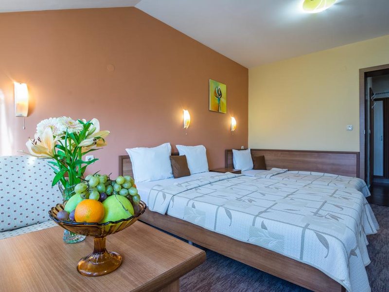 Ikonomov Spa Hotel 311078