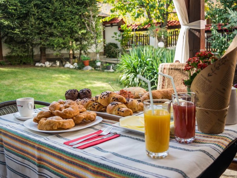 Ikonomov Spa Hotel 311081