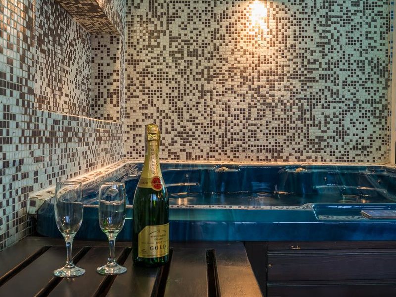 Ikonomov Spa Hotel 311083