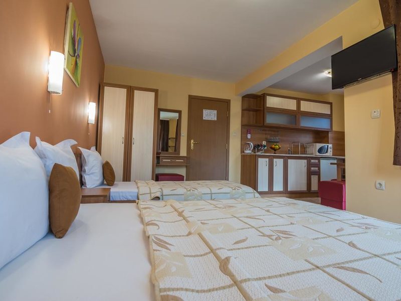 Ikonomov Spa Hotel 311084