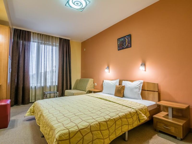 Ikonomov Spa Hotel 311088