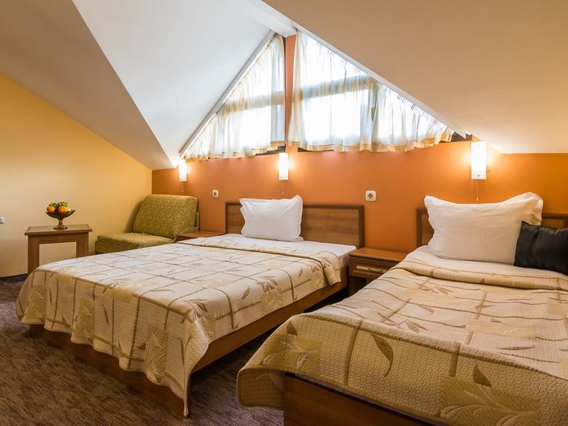 Ikonomov Spa Hotel 311089