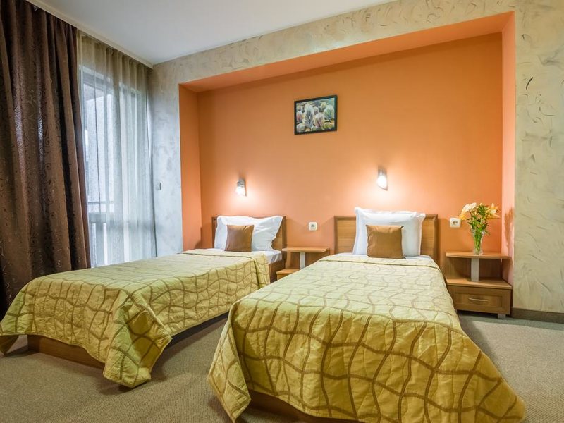 Ikonomov Spa Hotel 311090