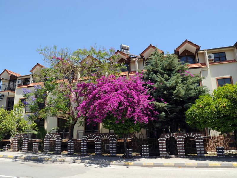 Ilimyra Hotel 92168
