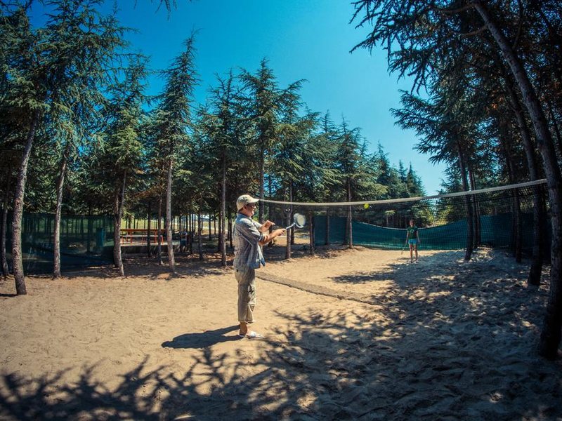 Imperial Fort  165595