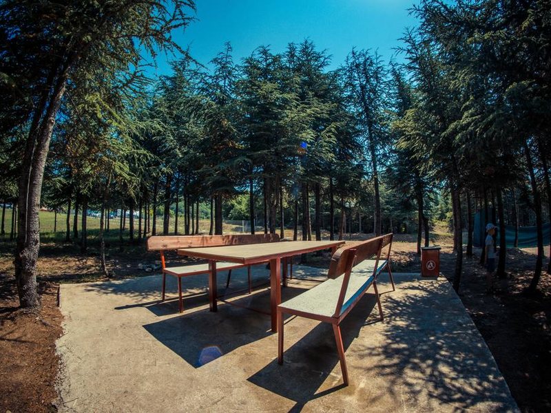 Imperial Fort  165596