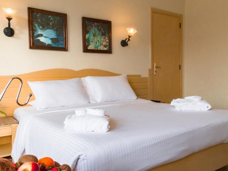 Invidia Coral Beach Tiran 326303