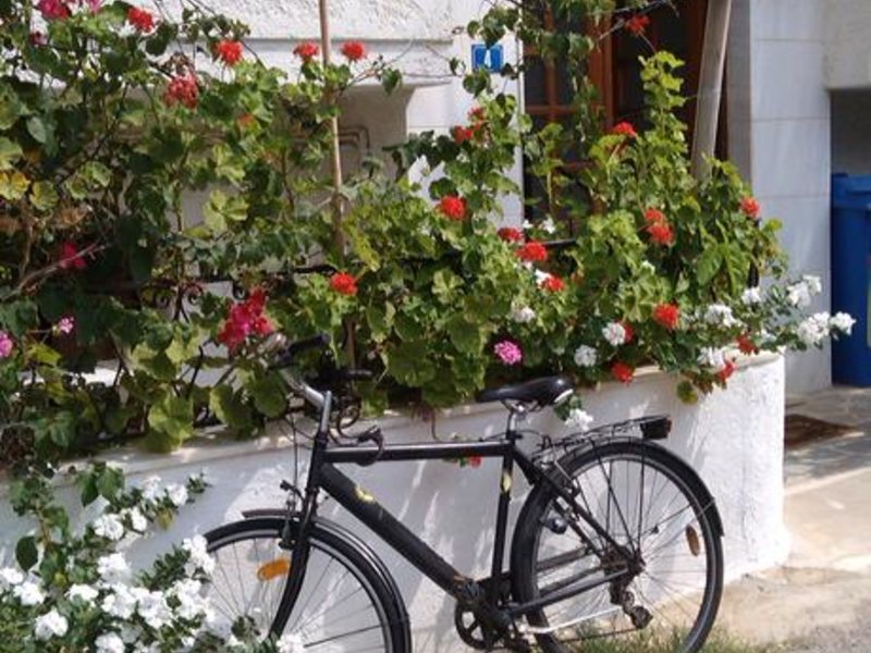 Irene Apartments 246952