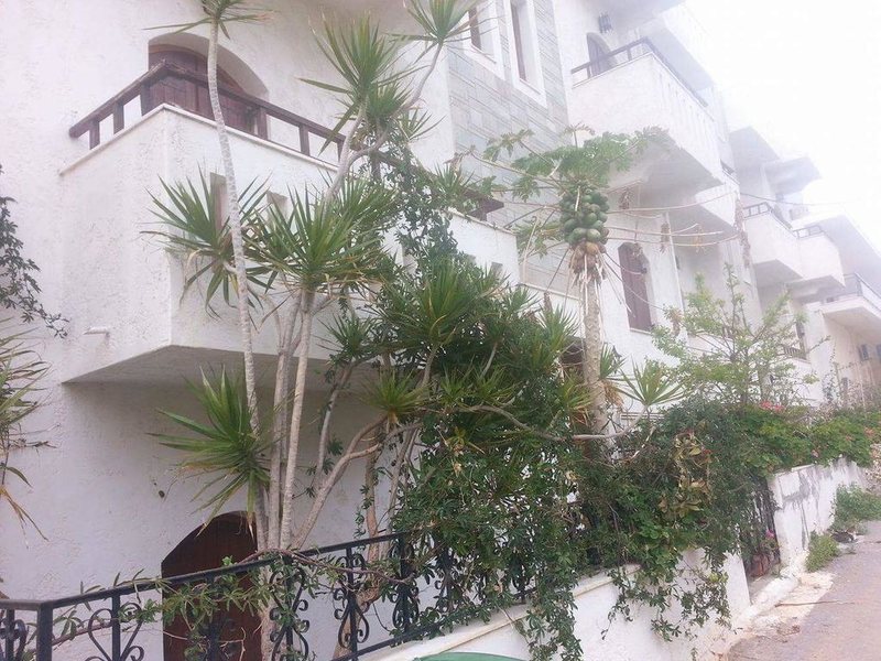 Irene Apartments 246954