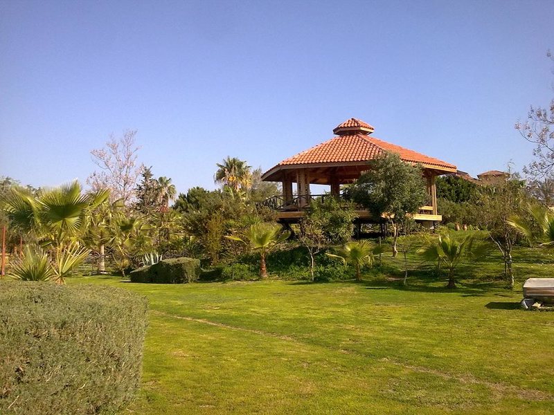 Iron Ambassador Side Beach  (ех 275857