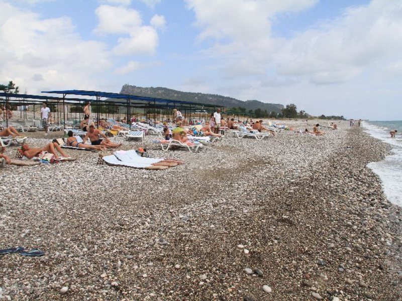 Istanbul Beach Hotel (ex 39501