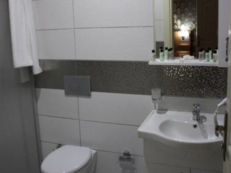 Istanbul Central Hotel 272087