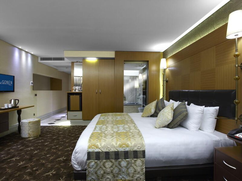 Istanbul Gonen Hotel 242279