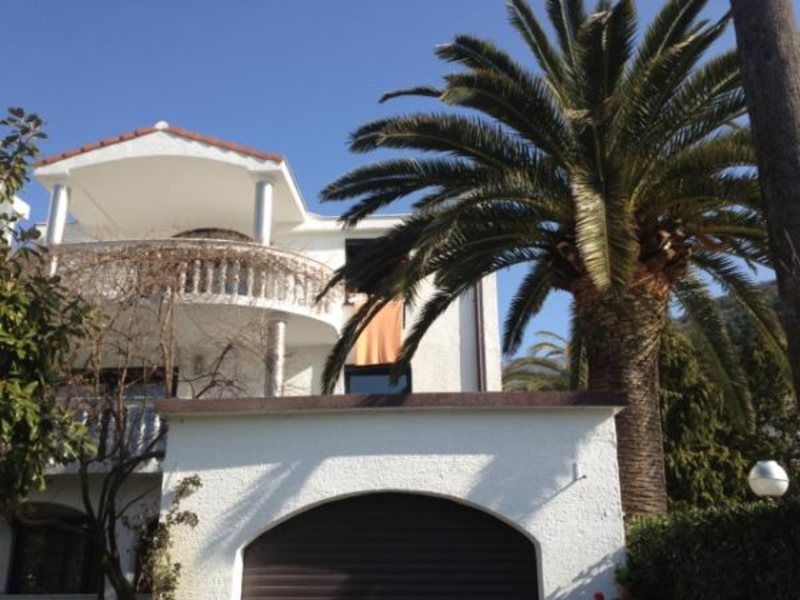 Ivanka Pavlovic 73215